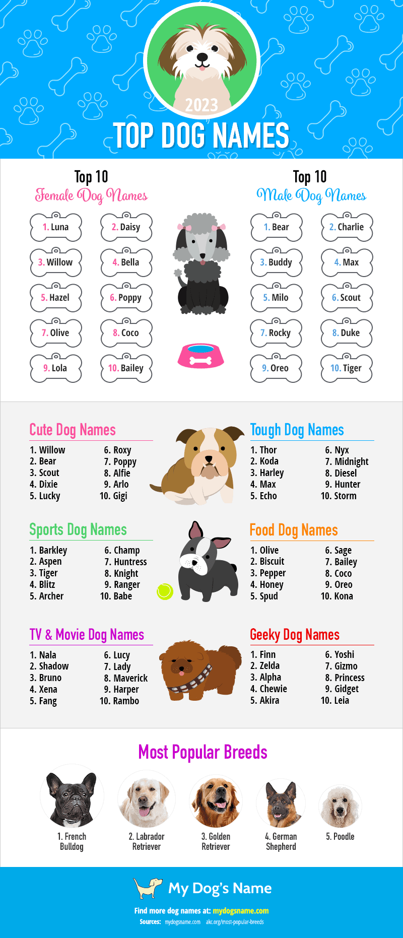 2023 Top Dog Names 1 